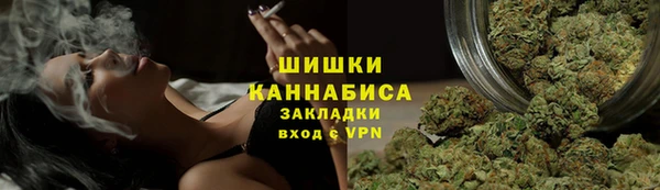 тгк Бронницы