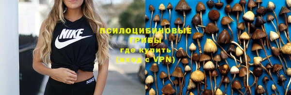 сатива Бугульма